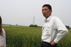 特別栽培米（減農薬）山根米谷島さんコシヒカリ